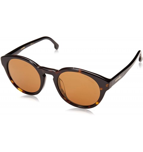 Round 184/F/S Sunglasses CA184FS-0086-K1-5122 - Dark Havana Frame - Brown Gold Sp Lenses - Lens - CK18KQ9X6NI $54.33