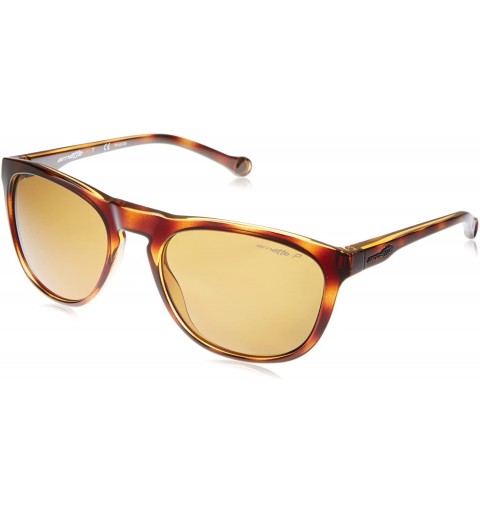 Moniker Unisex Polarized Sunglasses - 2087/83 Havana/Brown- 55mm ...