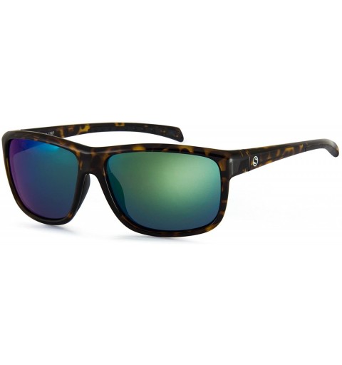 Oval Amigo Oval Sunglasses - Tortoise - C018GNIHRQI $21.45