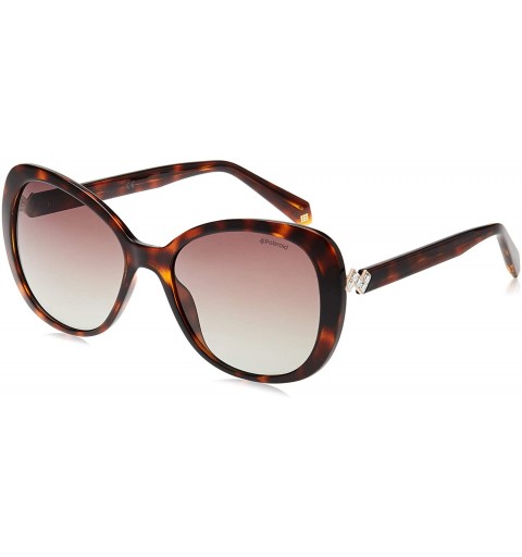 Cat Eye Women's Pld4063/S/X Cat-Eye Sunglasses - Dark Havana - CG180TCQ3H4 $39.06