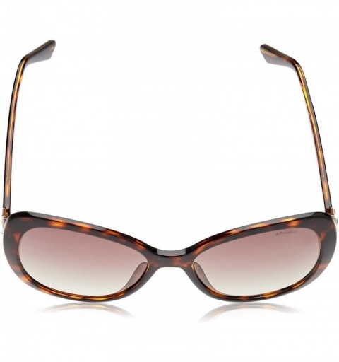 Cat Eye Women's Pld4063/S/X Cat-Eye Sunglasses - Dark Havana - CG180TCQ3H4 $39.06