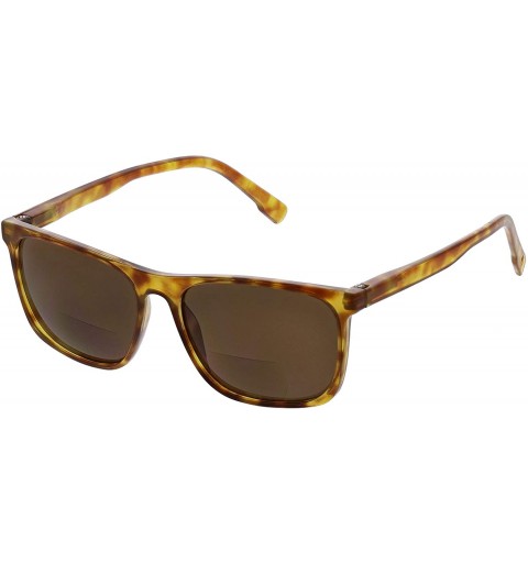 Square Highbrow Bifocal Square Reading Sunglasses - Honey Tortoise - CW18X005DHR $21.74