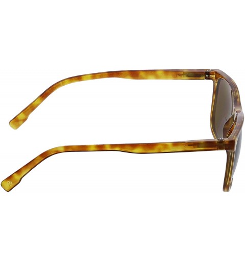 Square Highbrow Bifocal Square Reading Sunglasses - Honey Tortoise - CW18X005DHR $21.74