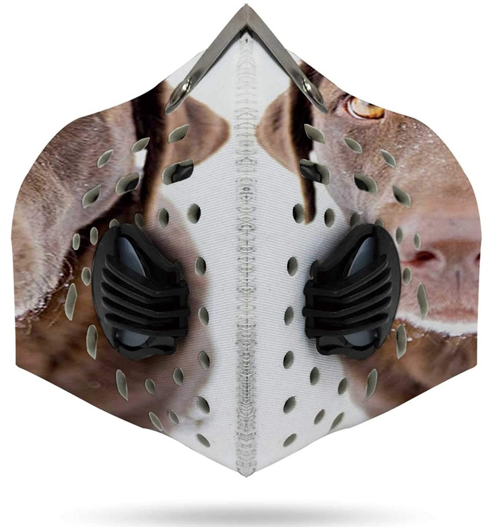 Cat Eye The p of - Unisex Sports Cover anas for Dust - Outdoors - Festivals - Sports Cover Mexico - Multi 09 - CQ199GHRHA4 $1...
